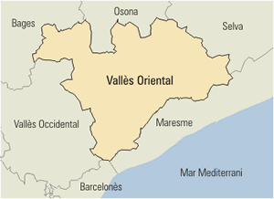 desatasco valles oriental